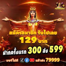 ck44 net